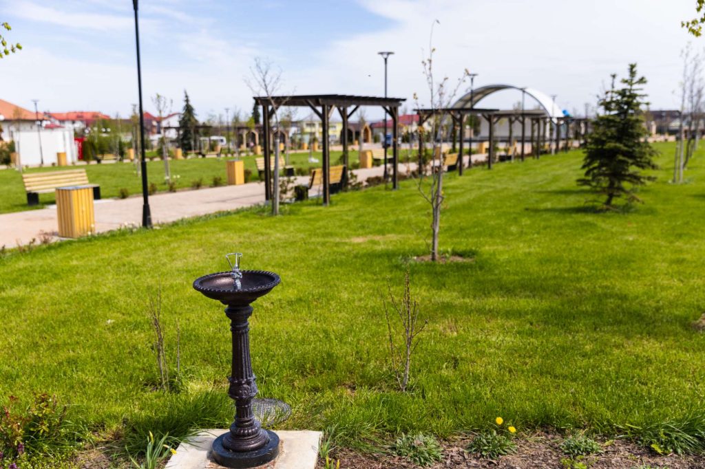 Parc Dumbrăveni — fotografie 31