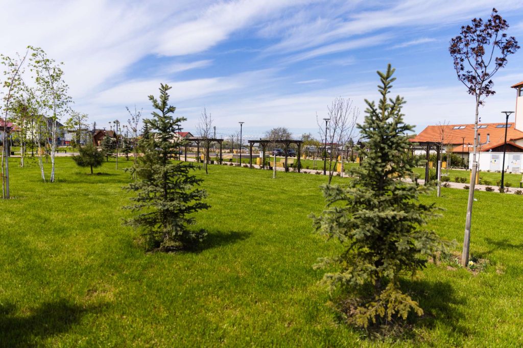 Parc Dumbrăveni — fotografie 40