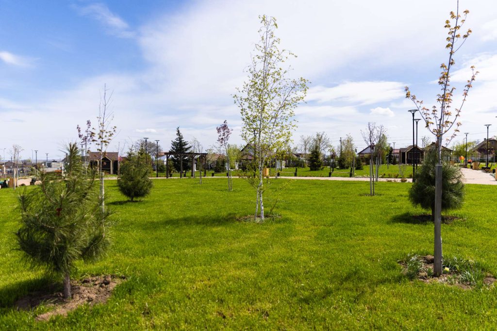 Parc Dumbrăveni — fotografie 41