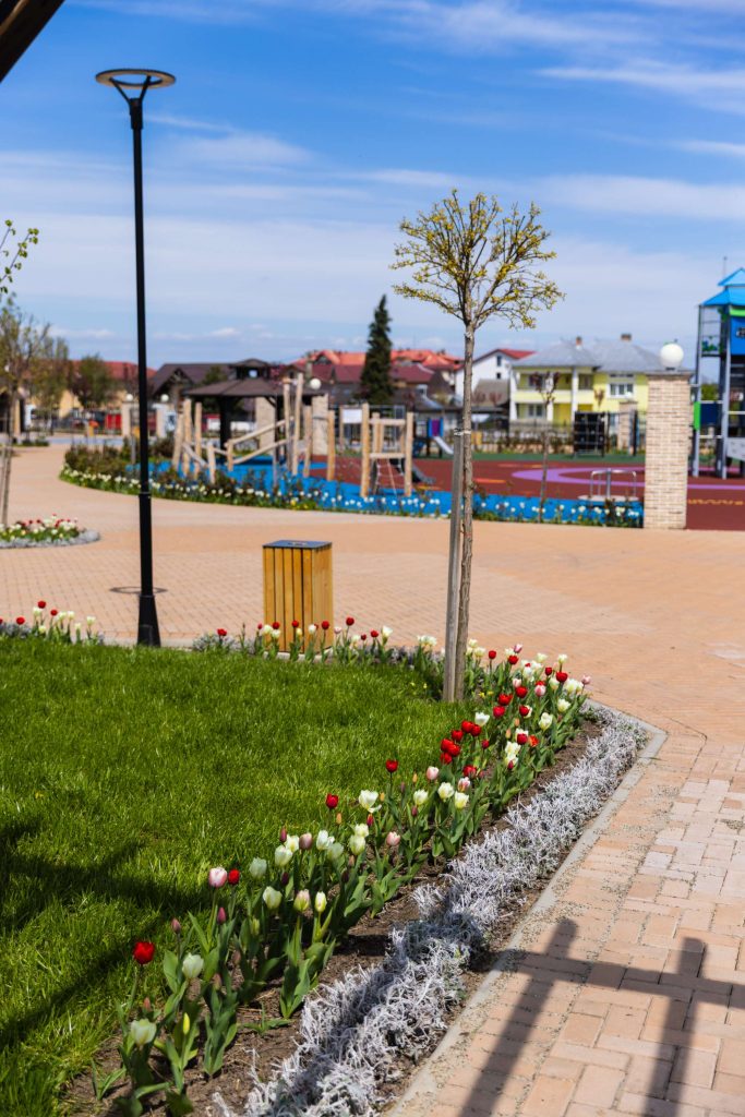 Parc Dumbrăveni — fotografie 63