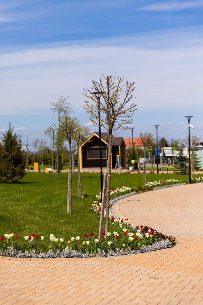 Parc Dumbrăveni — fotografie 67