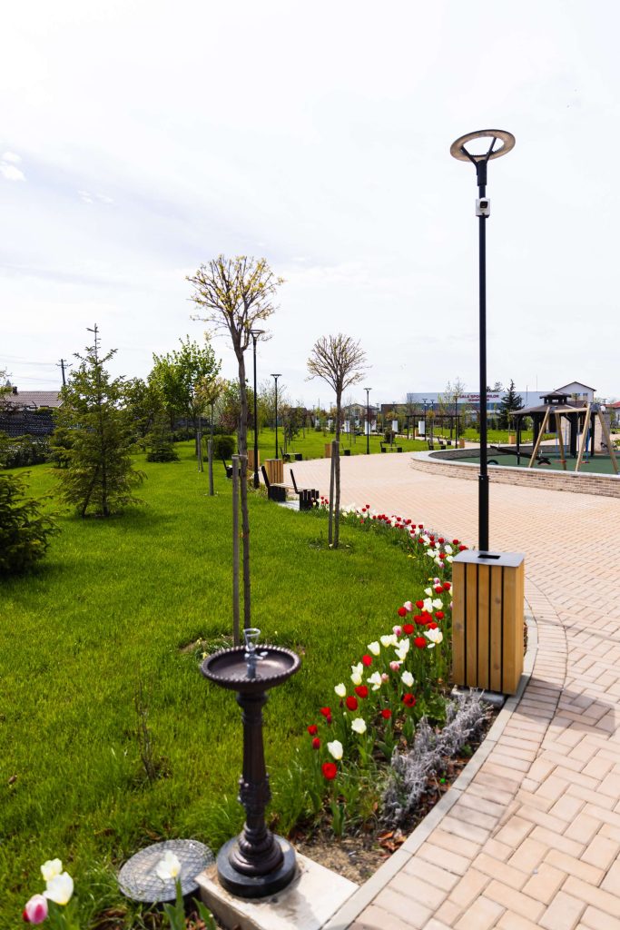 Parc Dumbrăveni — fotografie 82