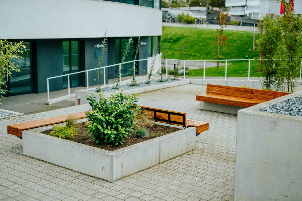 Avanera Suceava — fotografie 23