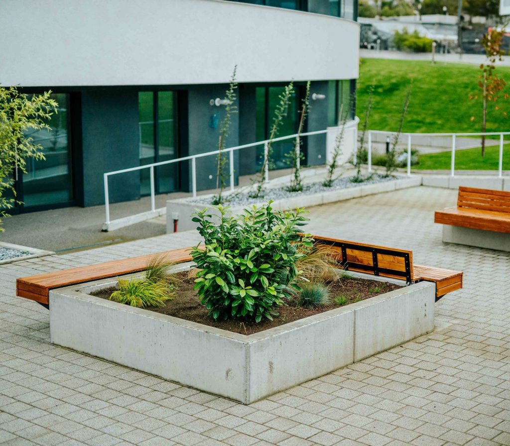 Avanera Suceava — fotografie 24